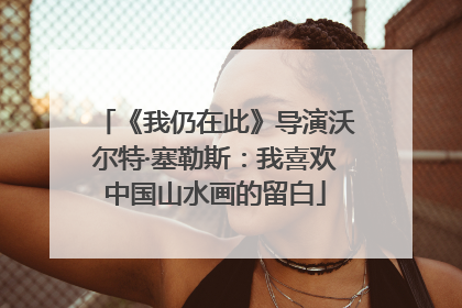 《我仍在此》导演沃尔特·塞勒斯：我喜欢中国山水画的留白