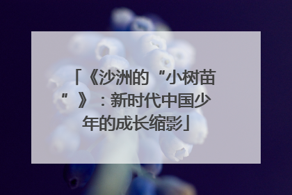 《沙洲的“小树苗”》：新时代中国少年的成长缩影
