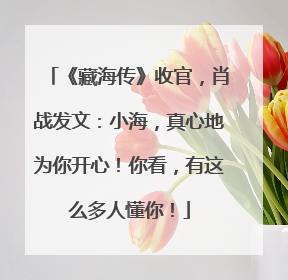 《藏海传》收官，肖战发文：小海，真心地为你开心！你看，有这么多人懂你！