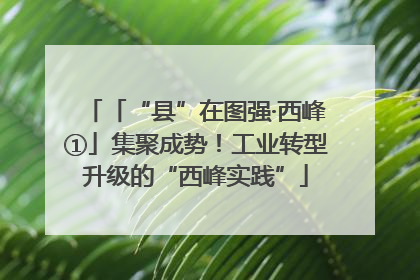 「“县”在图强·西峰①」集聚成势！工业转型升级的“西峰实践”