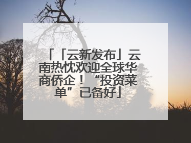 「云新发布」云南热忱欢迎全球华商侨企！“投资菜单”已备好