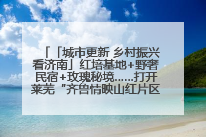 「城市更新 乡村振兴看济南」红培基地+野奢民宿+玫瑰秘境……打开莱芜“齐鲁情映山红片区”的破圈秘籍