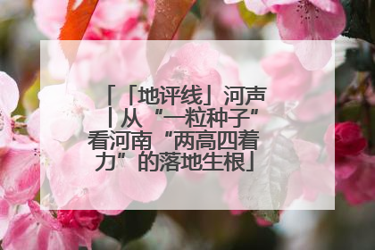 「地评线」河声丨从“一粒种子”看河南“两高四着力”的落地生根
