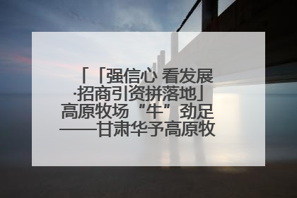 「强信心 看发展·招商引资拼落地」高原牧场“牛”劲足——甘肃华予高原牧场高标准奶牛肉牛养殖项目一线见闻