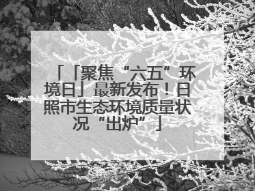 「聚焦“六五”环境日」最新发布！日照市生态环境质量状况“出炉”