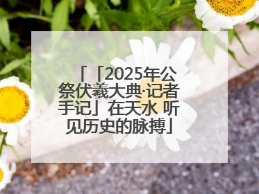「2025年公祭伏羲大典·记者手记」在天水 听见历史的脉搏