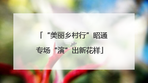“美丽乡村行”昭通专场“演”出新花样