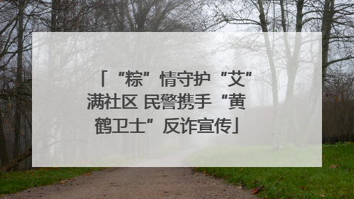 “粽”情守护“艾”满社区 民警携手“黄鹤卫士”反诈宣传