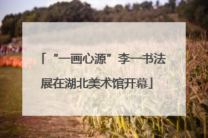 “一画心源”李一书法展在湖北美术馆开幕