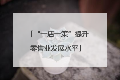 “一店一策”提升零售业发展水平