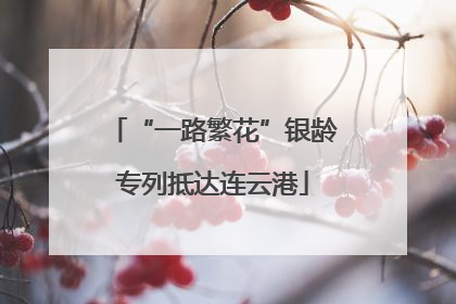 “一路繁花”银龄专列抵达连云港