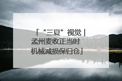 “三夏”视觉｜孟州麦收正当时 机械减损保归仓
