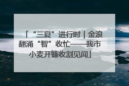 “三夏”进行时｜金浪翻涌“智”收忙——我市小麦开镰收割见闻