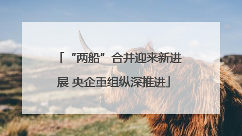 “两船”合并迎来新进展 央企重组纵深推进
