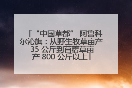 “中国草都” 阿鲁科尔沁旗：从野生牧草亩产 35 公斤到苜蓿草亩产 800 公斤以上