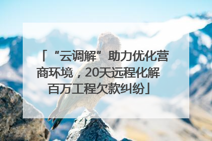 “云调解”助力优化营商环境，20天远程化解百万工程欠款纠纷