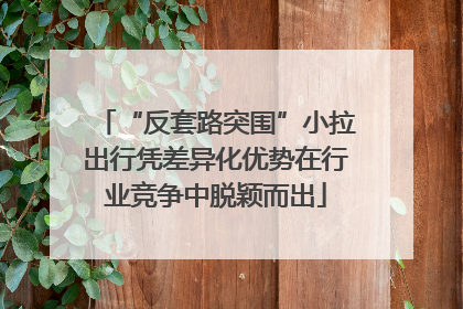 “反套路突围”小拉出行凭差异化优势在行业竞争中脱颖而出