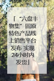 “六盘丰物集”固原特色产品线上销售平台发布 实现24小时内发货
