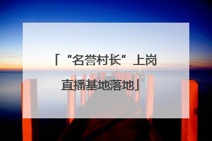 “名誉村长”上岗 直播基地落地