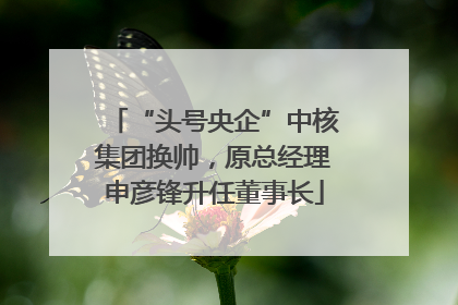 “头号央企”中核集团换帅，原总经理申彦锋升任董事长