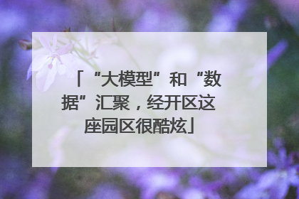 “大模型”和“数据”汇聚，经开区这座园区很酷炫