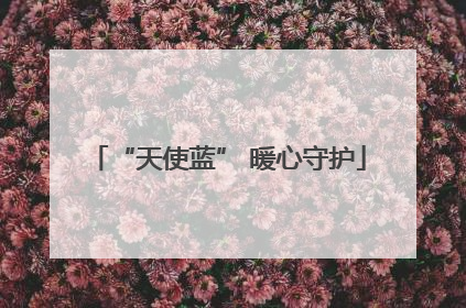“天使蓝” 暖心守护