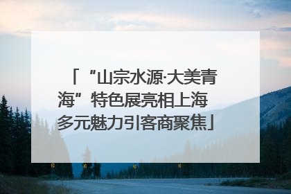 “山宗水源·大美青海”特色展亮相上海 多元魅力引客商聚焦