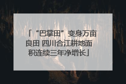 “巴掌田”变身万亩良田 四川合江耕地面积连续三年净增长