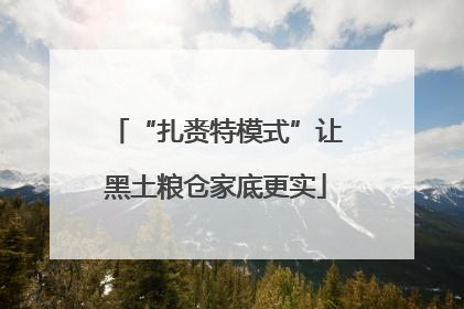 “扎赉特模式”让黑土粮仓家底更实