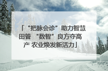 “把脉会诊”助力智慧田管 “数智”良方夺高产 农业焕发新活力
