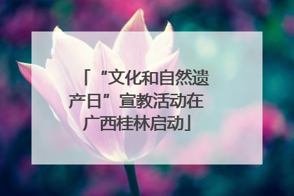 “文化和自然遗产日”宣教活动在广西桂林启动