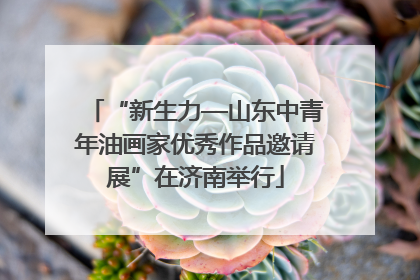 “新生力—山东中青年油画家优秀作品邀请展”在济南举行