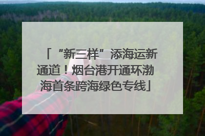 “新三样”添海运新通道！烟台港开通环渤海首条跨海绿色专线