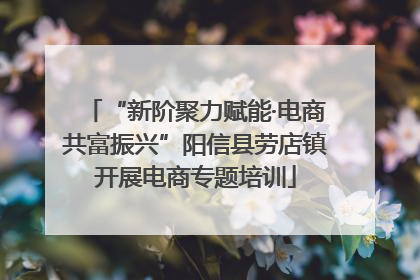“新阶聚力赋能·电商共富振兴”阳信县劳店镇开展电商专题培训
