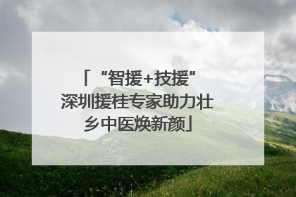 “智援+技援” 深圳援桂专家助力壮乡中医焕新颜