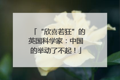 “欣喜若狂”的英国科学家：中国的举动了不起！
