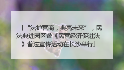 “法护营商，典亮未来”，民法典进园区暨《民营经济促进法》普法宣传活动在长沙举行