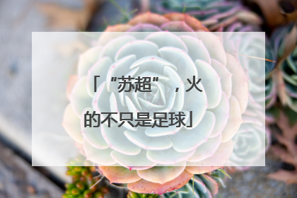 “苏超”，火的不只是足球