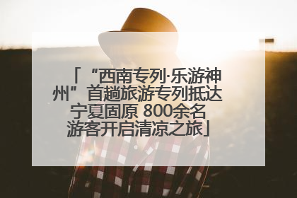 “西南专列·乐游神州”首趟旅游专列抵达宁夏固原 800余名游客开启清凉之旅