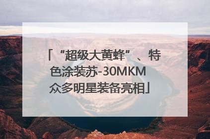 “超级大黄蜂”、特色涂装苏-30MKM 众多明星装备亮相