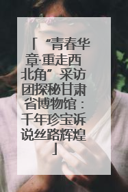 “青春华章·重走西北角”采访团探秘甘肃省博物馆：千年珍宝诉说丝路辉煌