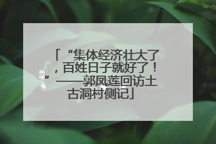 “集体经济壮大了，百姓日子就好了！”——郭凤莲回访土古洞村侧记