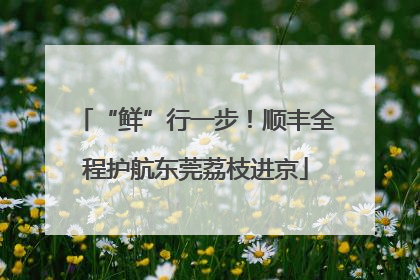 “鲜”行一步！顺丰全程护航东莞荔枝进京