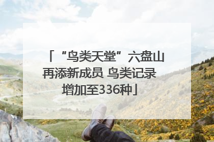 “鸟类天堂”六盘山再添新成员 鸟类记录增加至336种