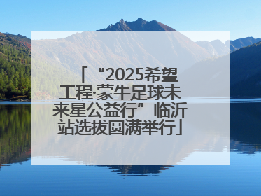 “2025希望工程·蒙牛足球未来星公益行”临沂站选拔圆满举行