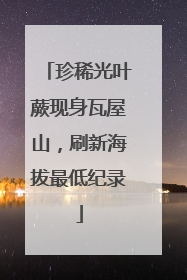 珍稀光叶蕨现身瓦屋山，刷新海拔最低纪录