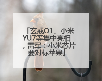 玄戒O1、小米YU7等集中亮相，雷军：小米芯片要对标苹果