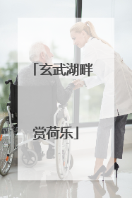 玄武湖畔赏荷乐