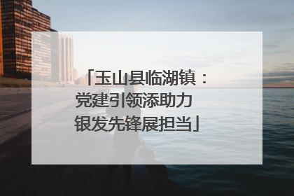 玉山县临湖镇：党建引领添助力 银发先锋展担当