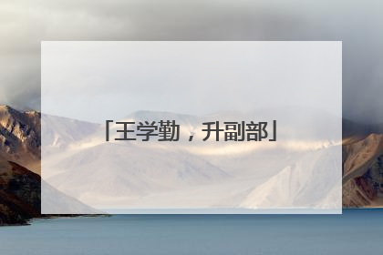 王学勤，升副部